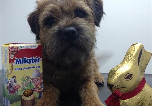 Easter Warnings